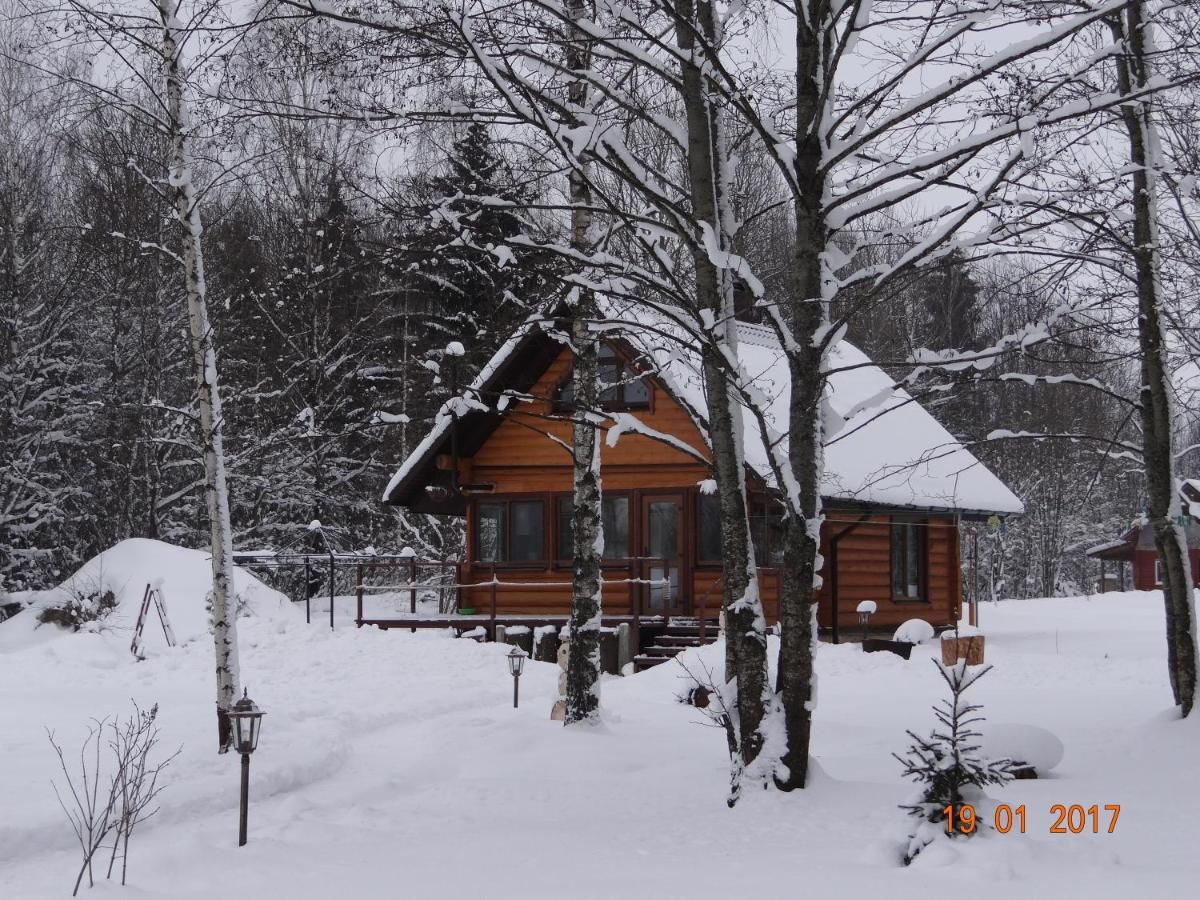 Загородные дома Skazochnyi domik Силичи-4